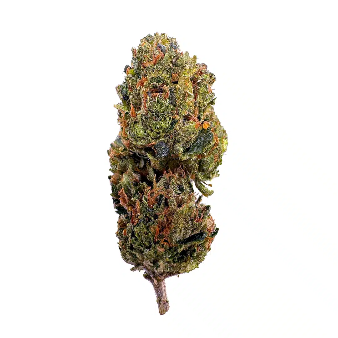 Super Boof Strain