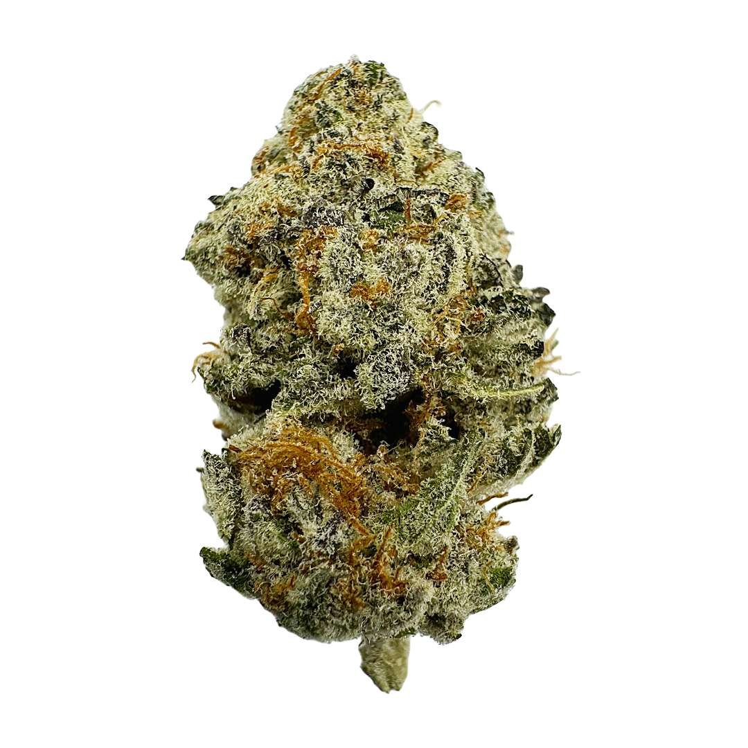 Tropical Punch – Indoor
