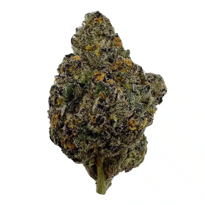 Black Mamba – Top Shelf Indoor
