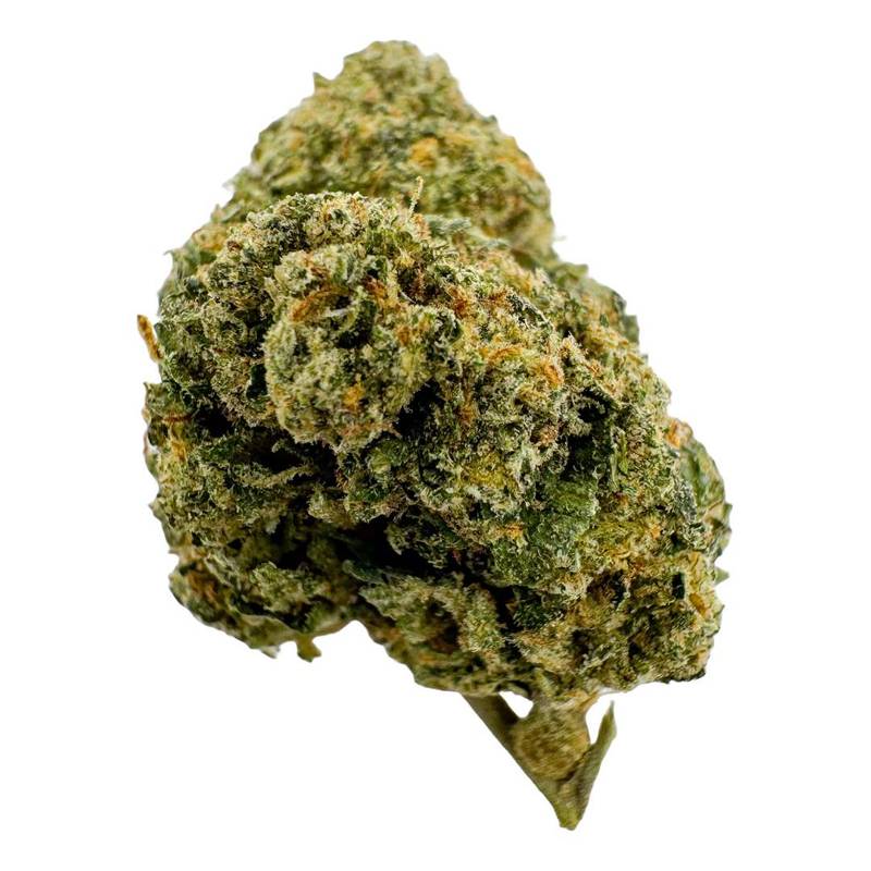 Black Cherry Gelato Strain