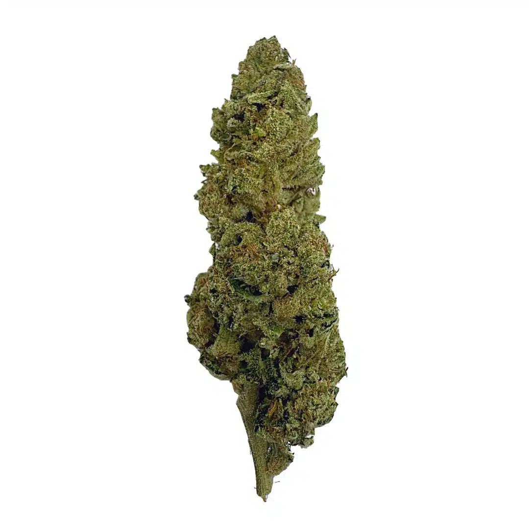 Cream Cake