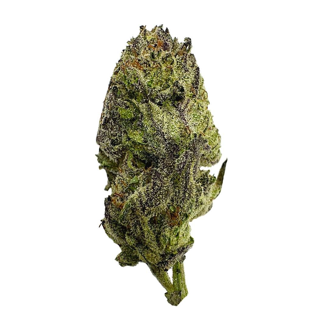 Gelato #33