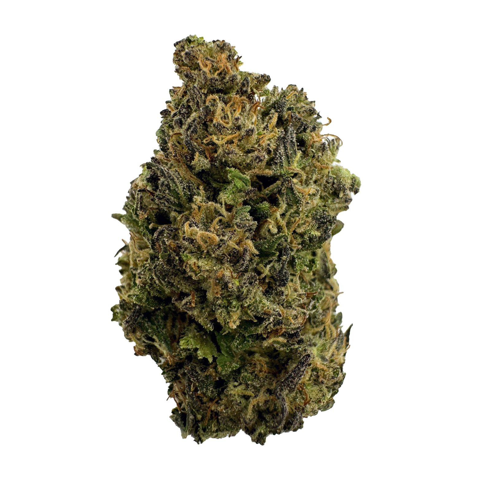 GMO Cannabis