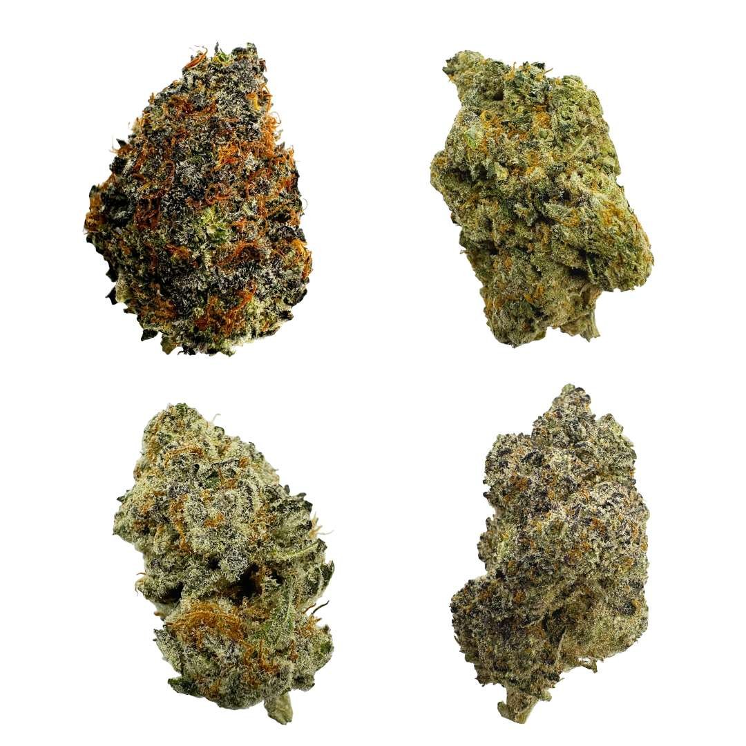Indoor Sampler