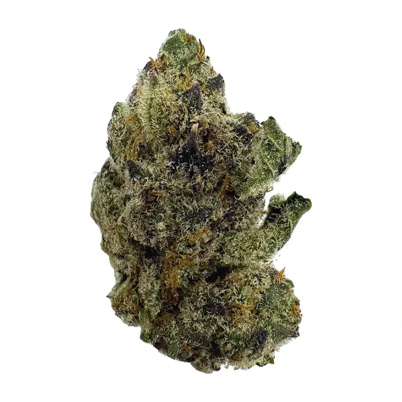 Kept Secret – Top Shelf Indoor