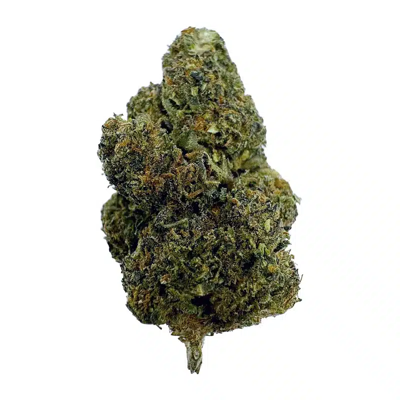 Pablo's Revenge – Top Shelf Indoor