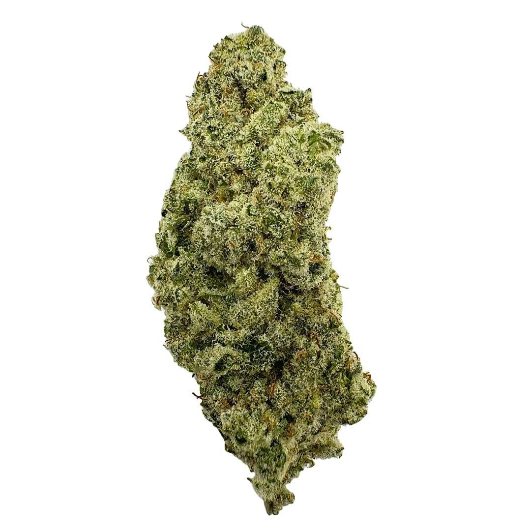 Orange Crush – Top Shelf Indoor