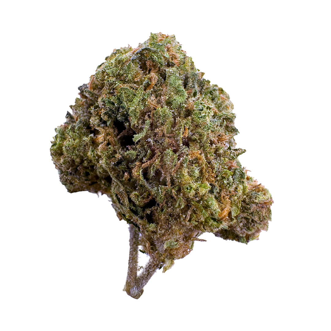 Orange Push Pop Strain